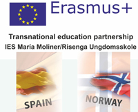 erasmus+ erasmus+