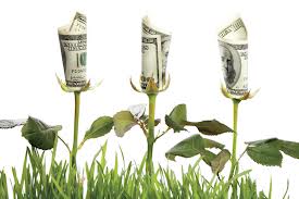 billetes